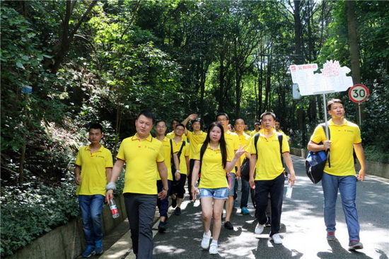 hjc888黄金城--手机版app官网