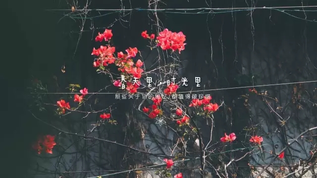 hjc888黄金城--手机版app官网