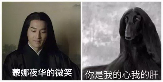 hjc888黄金城--手机版app官网