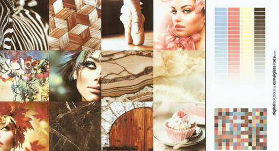 hjc888黄金城--手机版app官网