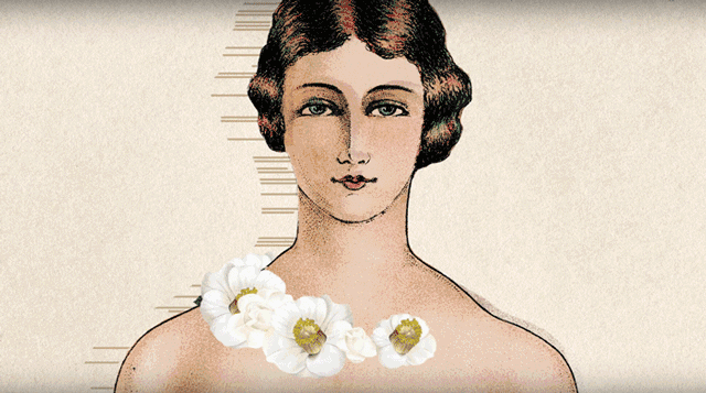 hjc888黄金城--手机版app官网