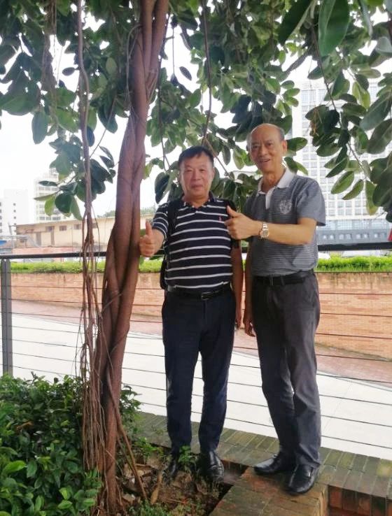 hjc888黄金城--手机版app官网