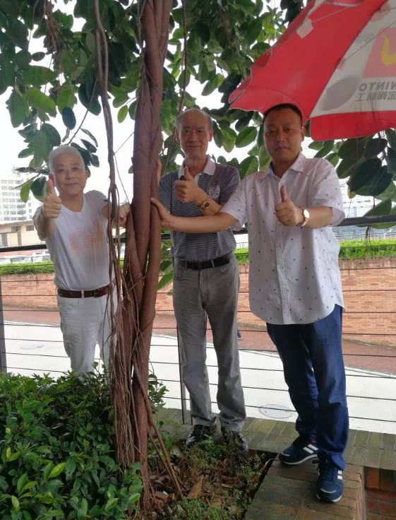 hjc888黄金城--手机版app官网