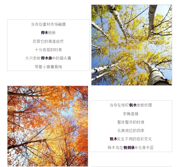 hjc888黄金城--手机版app官网