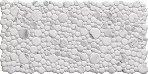 hjc888黄金城H-2B59921 292×592mm瓷砖