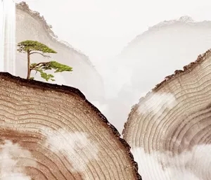 hjc888黄金城陶瓷