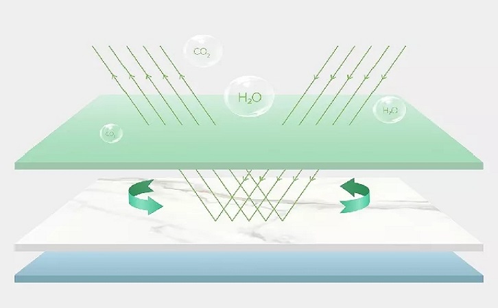 佛山hjc888黄金城图片