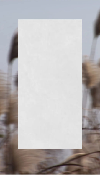 hjc888黄金城葭灰质感砖图