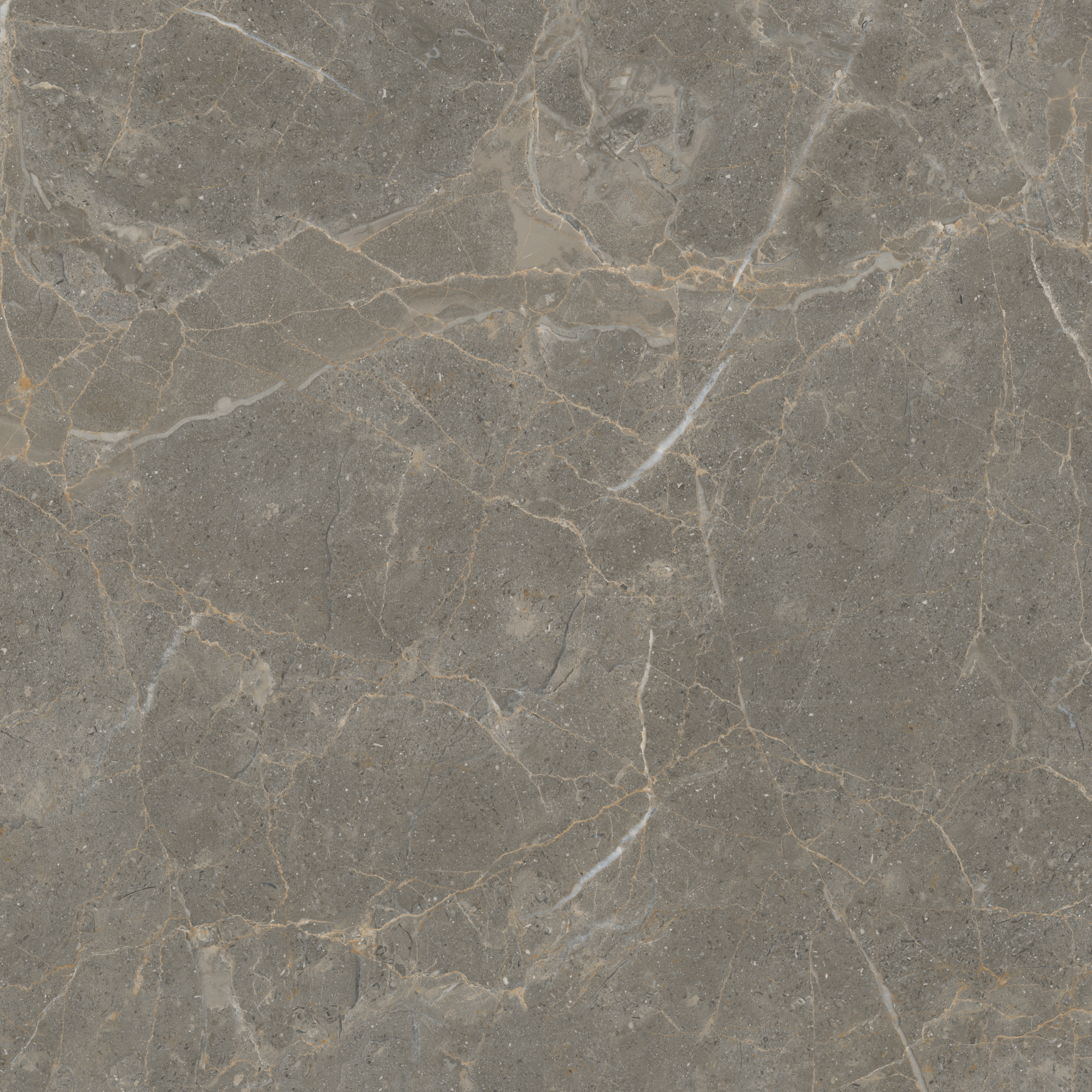 hjc888黄金城--手机版app官网