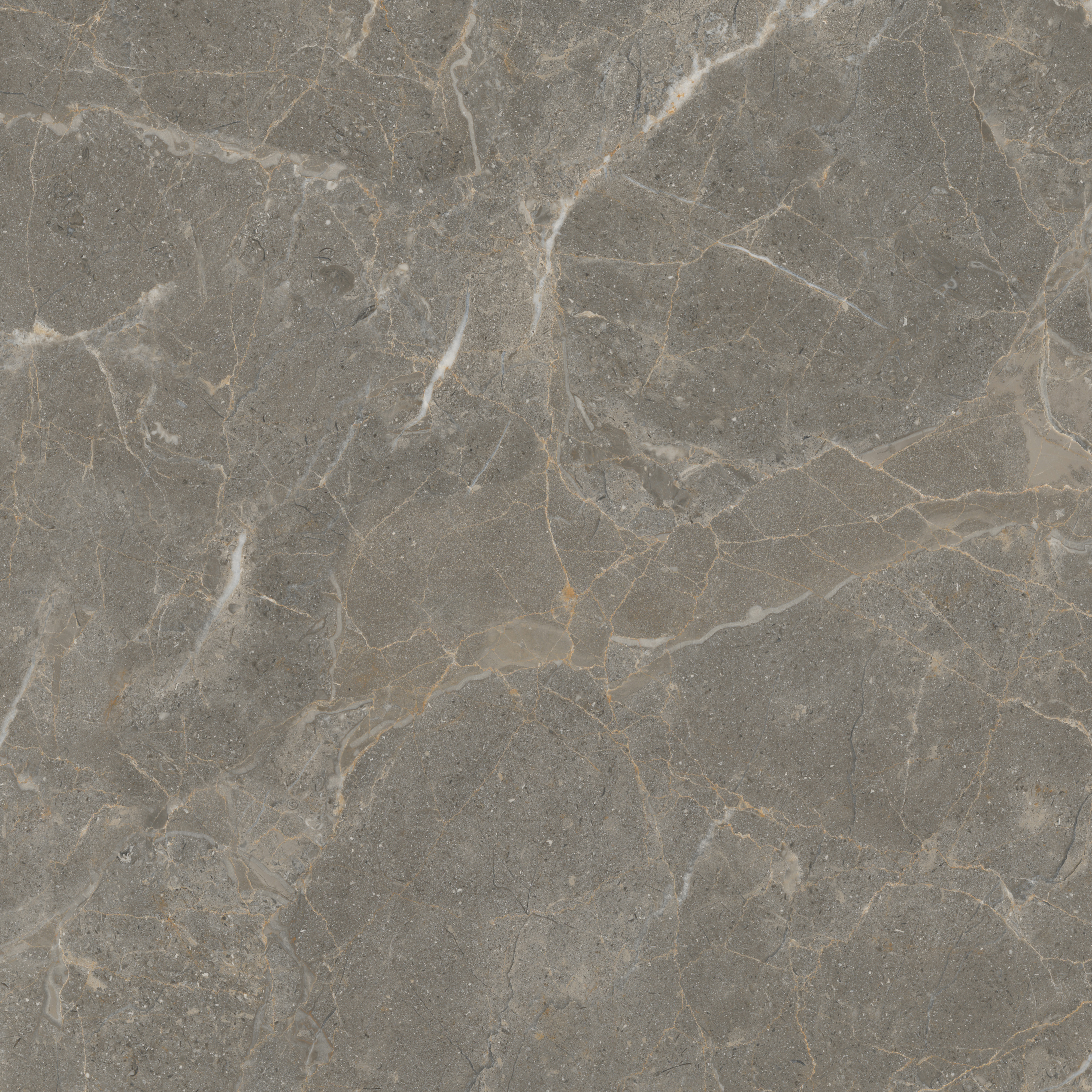 hjc888黄金城--手机版app官网