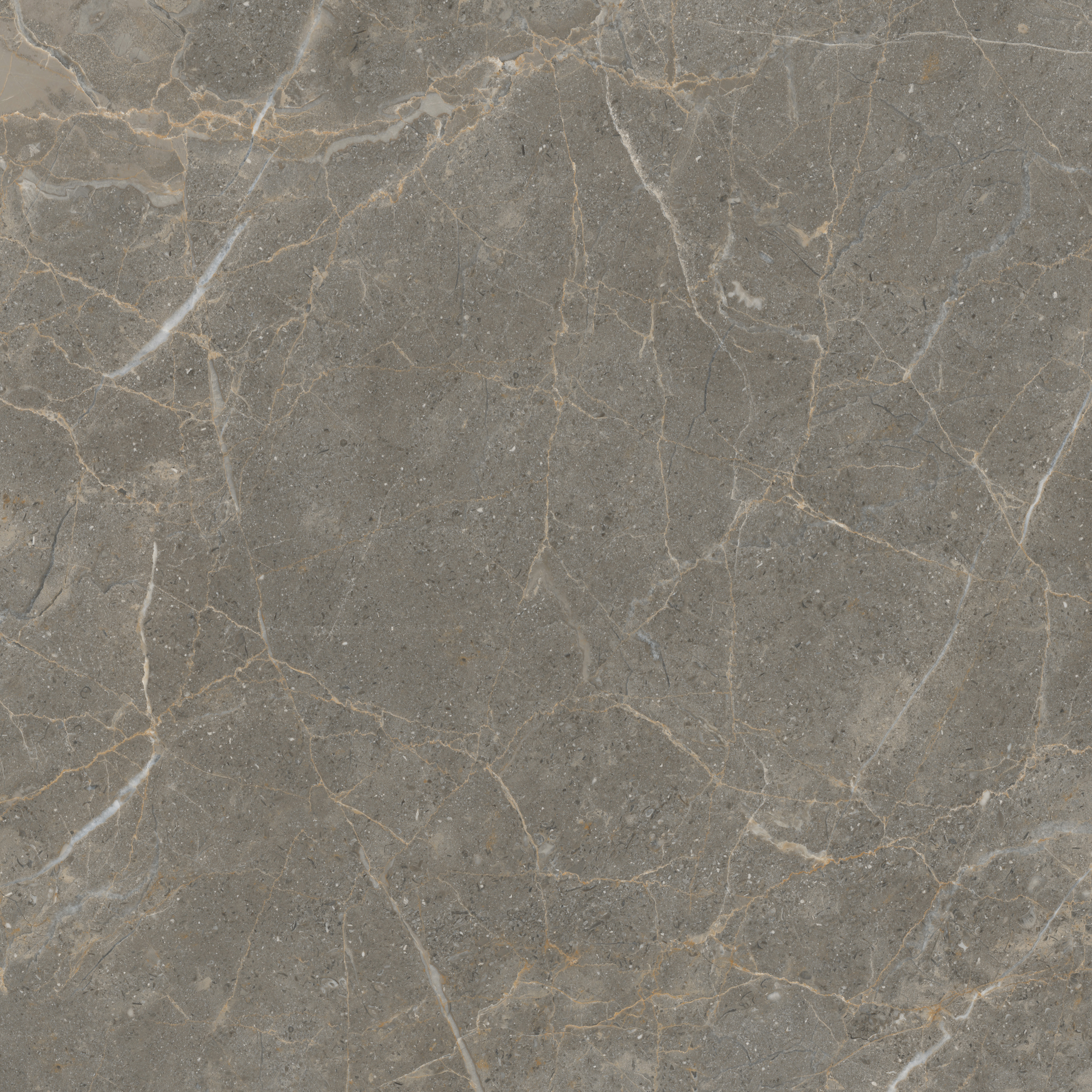 hjc888黄金城--手机版app官网