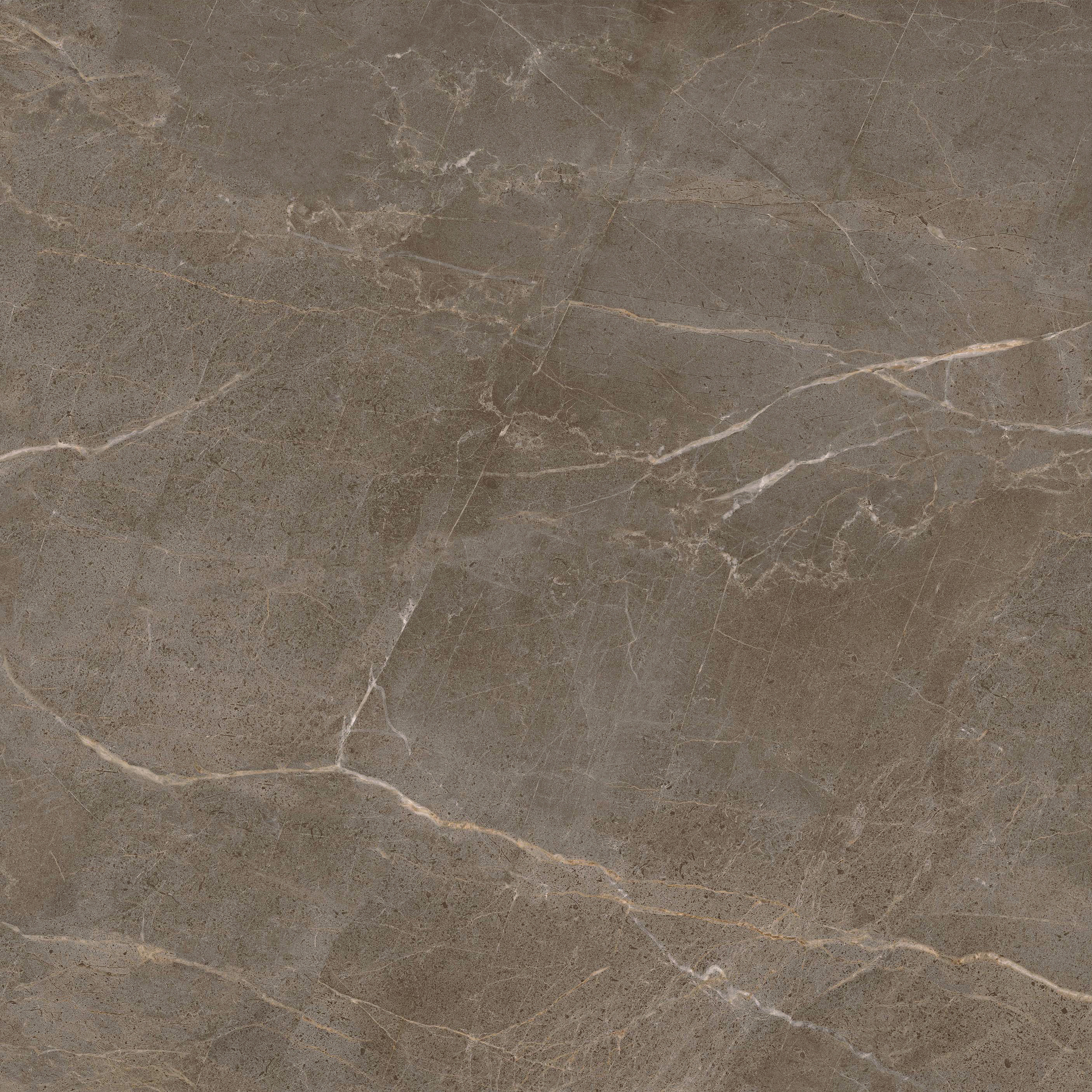 hjc888黄金城--手机版app官网