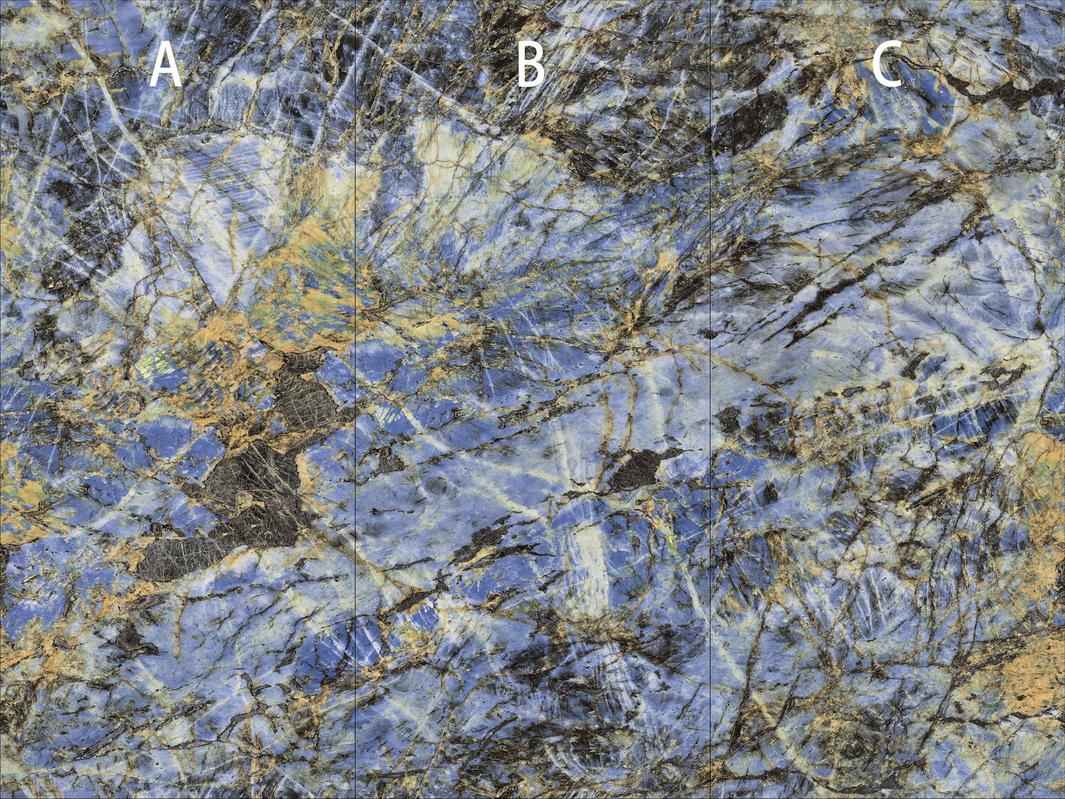 hjc888黄金城--手机版app官网