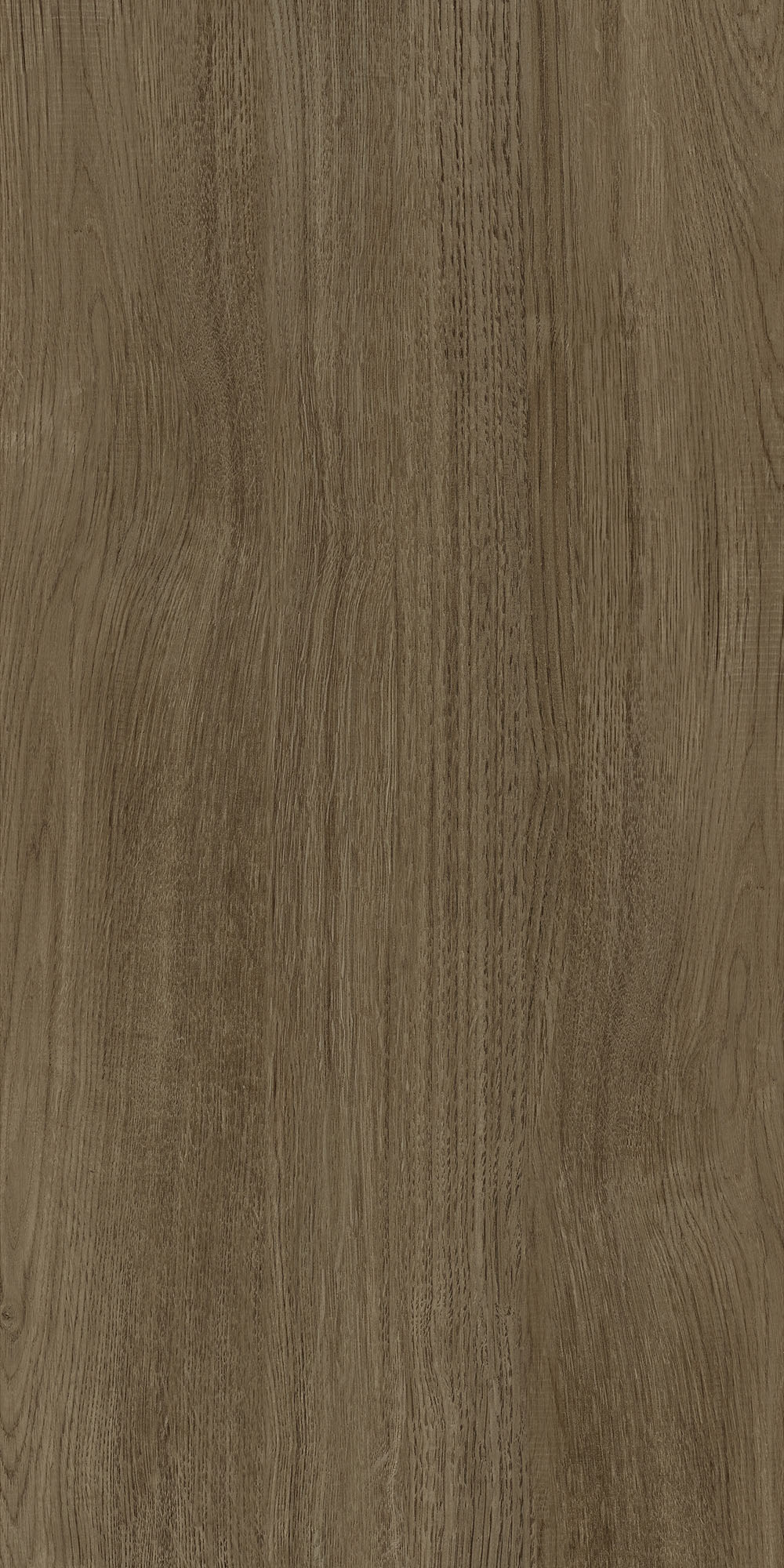 hjc888黄金城--手机版app官网