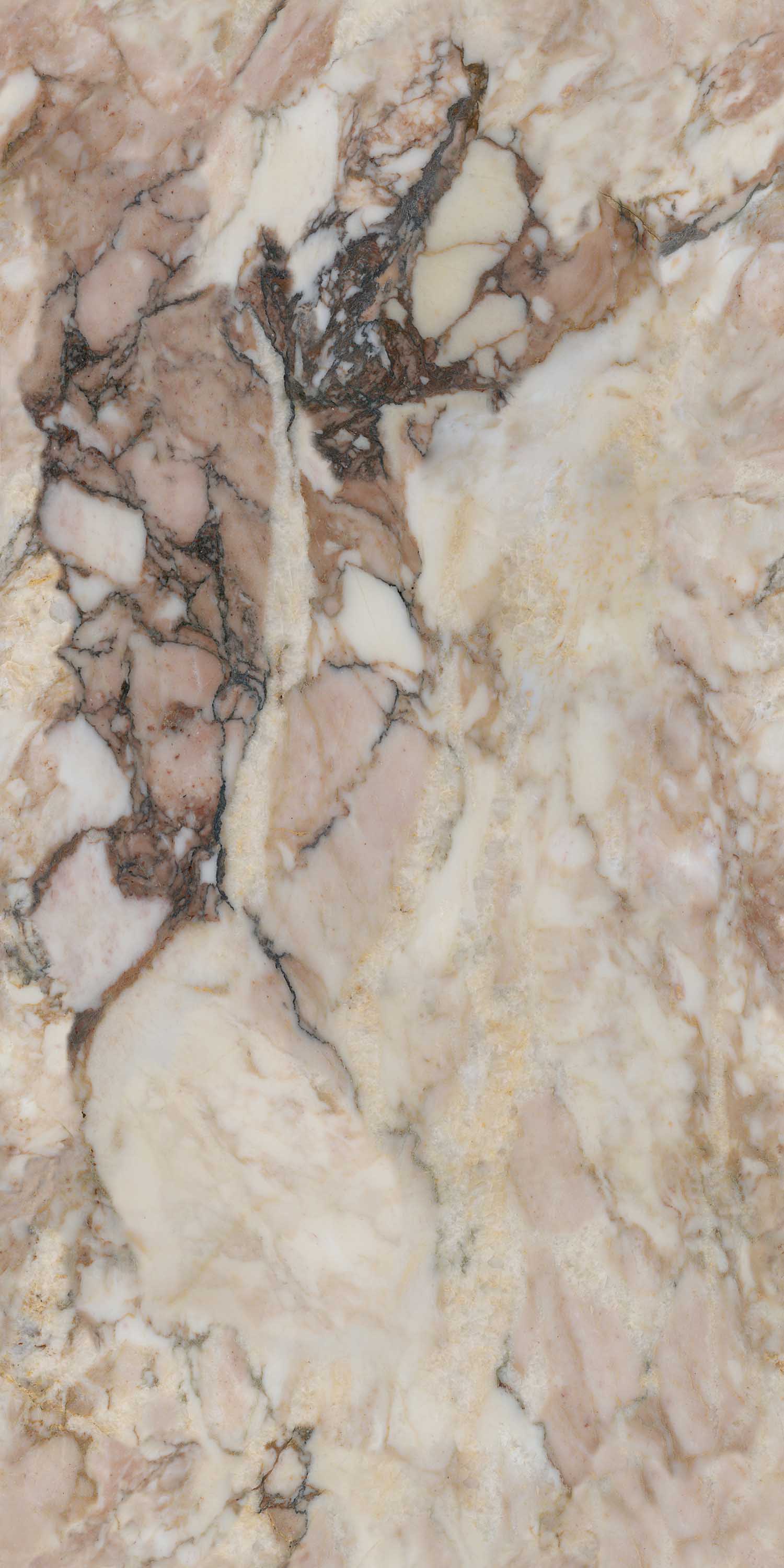 hjc888黄金城--手机版app官网