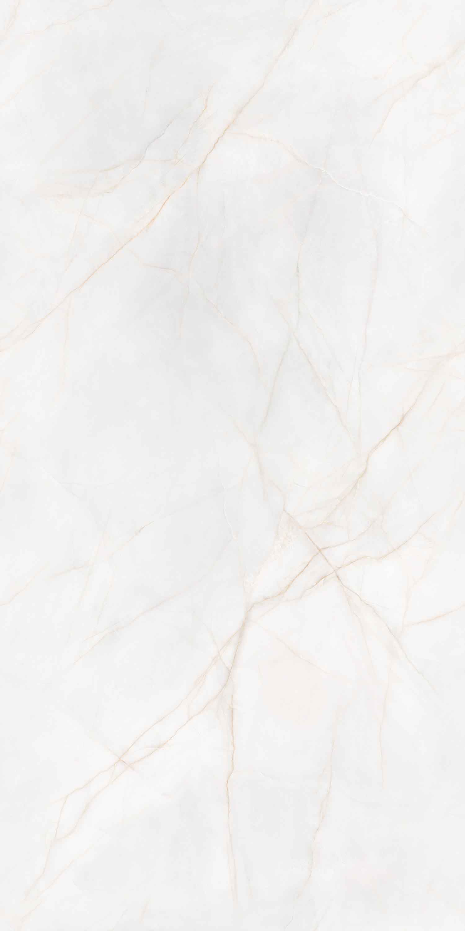 hjc888黄金城--手机版app官网