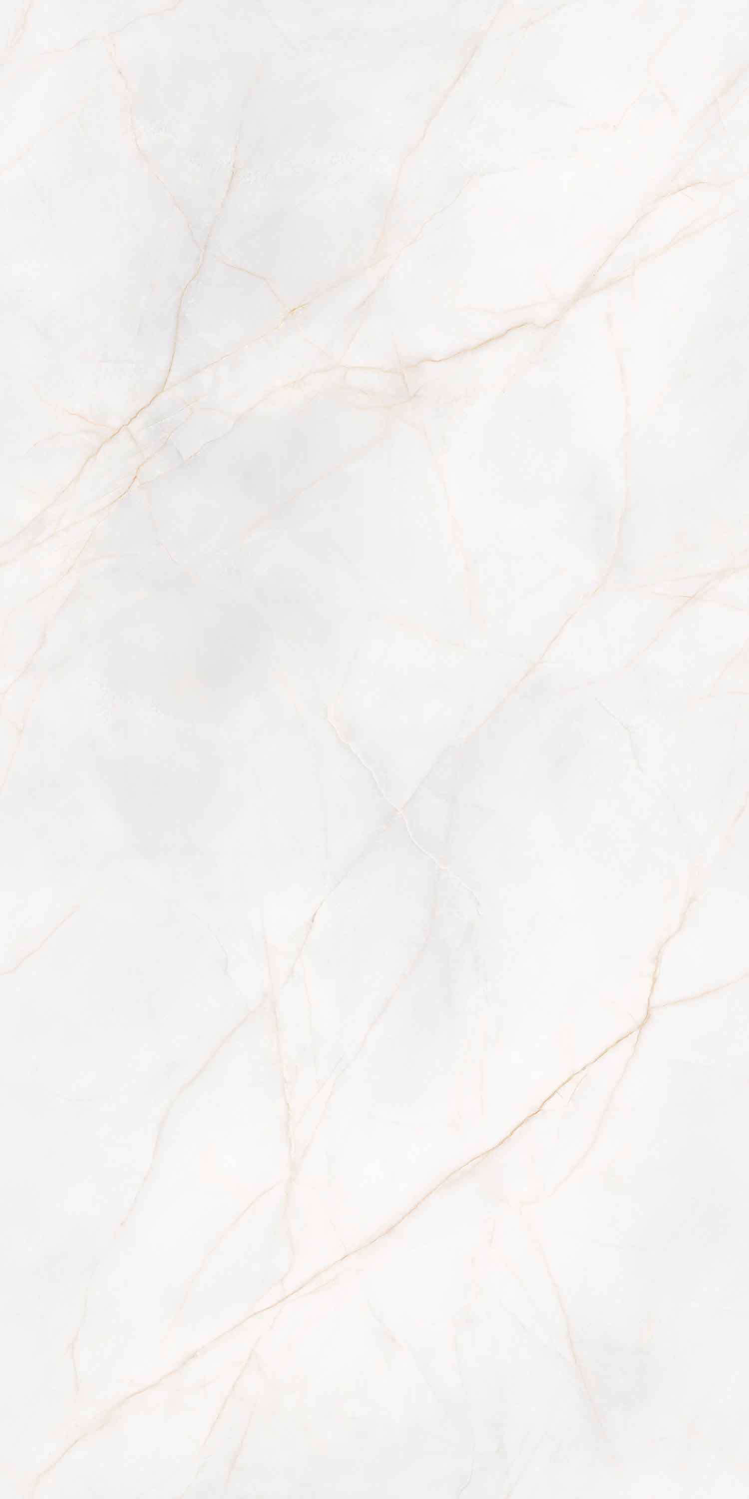 hjc888黄金城--手机版app官网