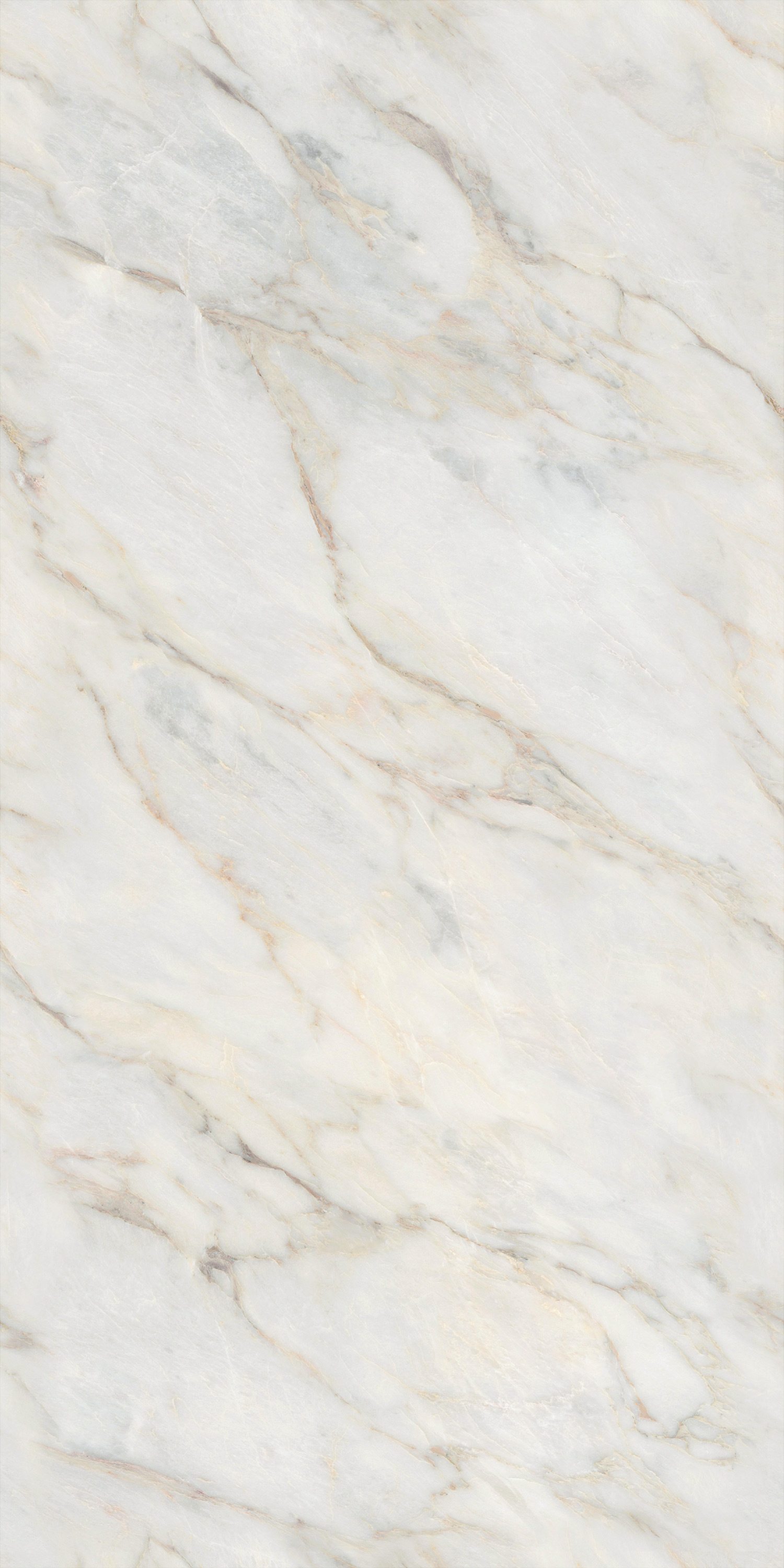 hjc888黄金城--手机版app官网