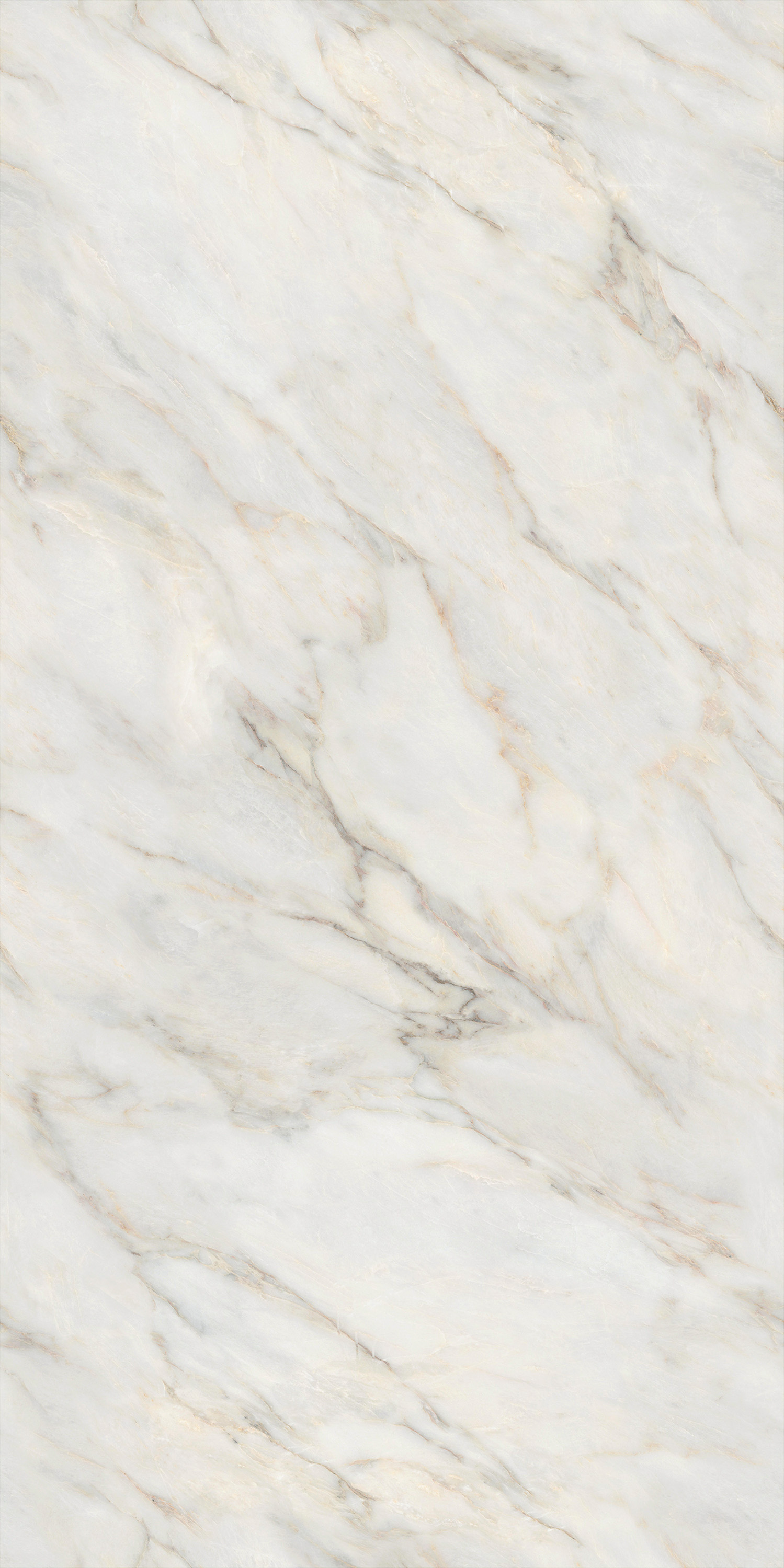 hjc888黄金城--手机版app官网