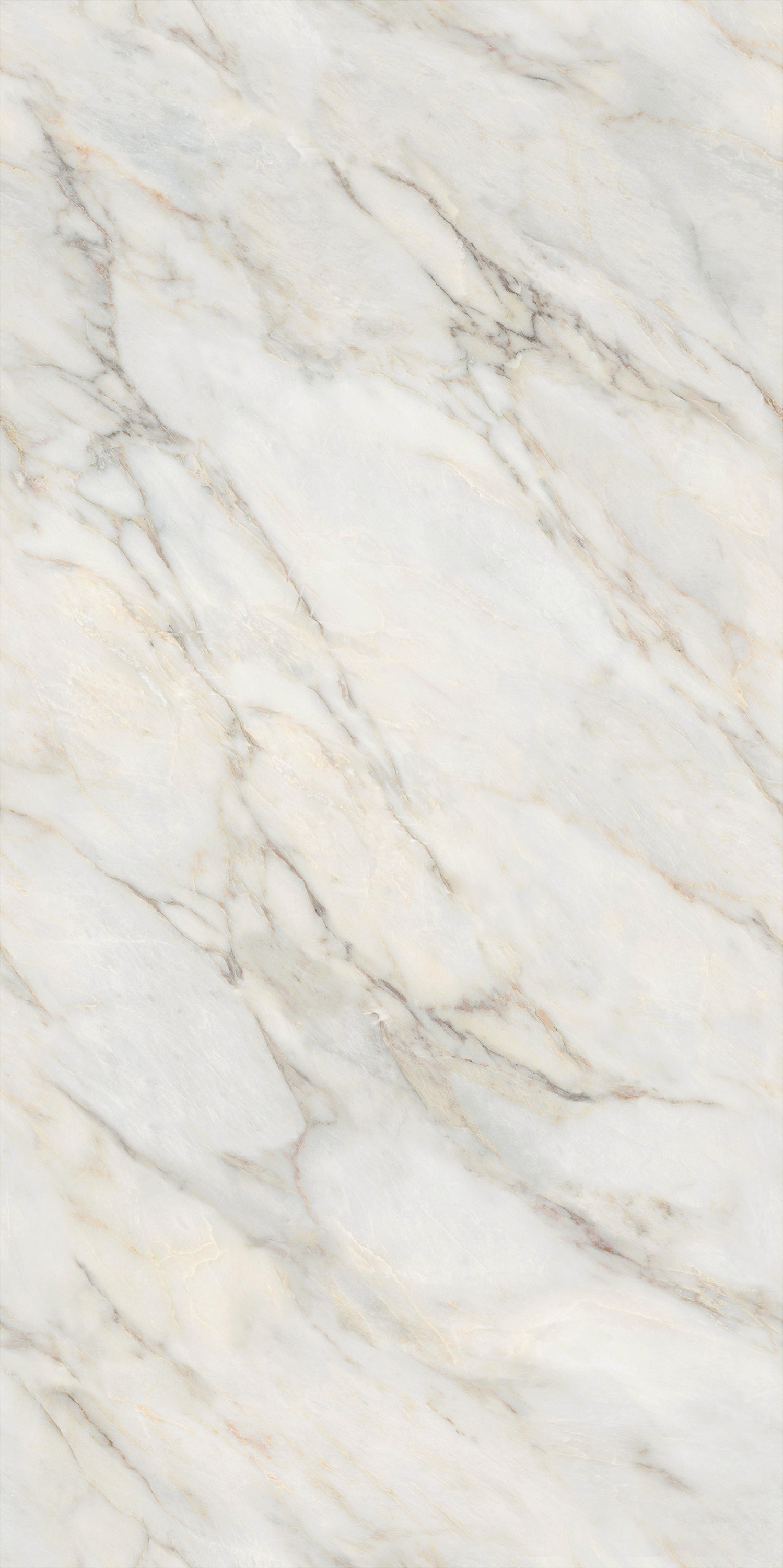 hjc888黄金城--手机版app官网